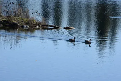 DSC_1149 (Large).JPG